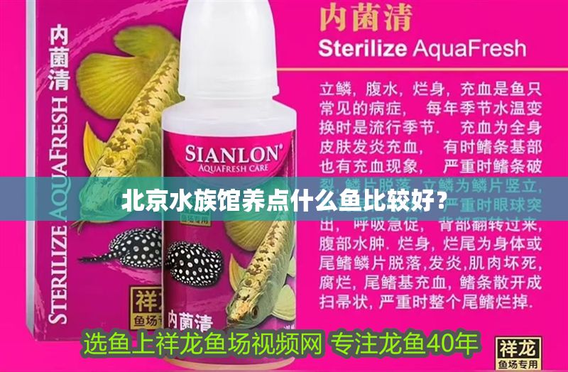 北京水族館養(yǎng)點(diǎn)什么魚比較好？