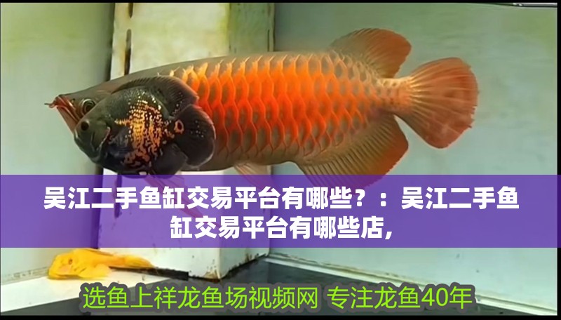 吳江二手魚缸交易平臺有哪些？：吳江二手魚缸交易平臺有哪些店,
