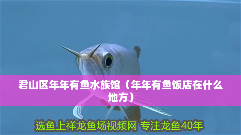 君山區年年有魚水族館（年年有魚飯店在什么地方）