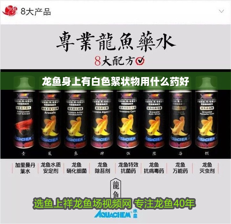 龍魚身上有白色絮狀物用什么藥好
