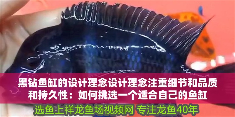 黑鉆魚缸的設計理念設計理念注重細節和品質和持久性：如何挑選一個適合自己的魚缸