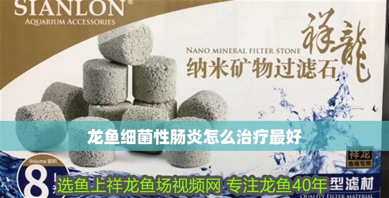 龍魚細菌性腸炎怎么治療最好 龍魚百科 龍魚細菌性腸炎怎么治療最好 龍魚細菌性腸炎怎么治療最好 龍魚百科