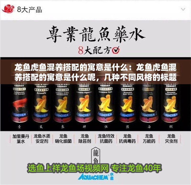 龍魚虎魚混養(yǎng)搭配的寓意是什么：龍魚虎魚混養(yǎng)搭配的寓意是什么呢，幾種不同風(fēng)格的標(biāo)題供你參考，，文藝風(fēng)，龍魚與虎魚混養(yǎng)，探尋背后深邃寓意，直白實(shí)用風(fēng)，深度解析，龍魚虎魚混養(yǎng)搭配的寓意所在，懸念好奇風(fēng)，揭秘！龍魚虎魚混養(yǎng)搭配竟有這般寓意