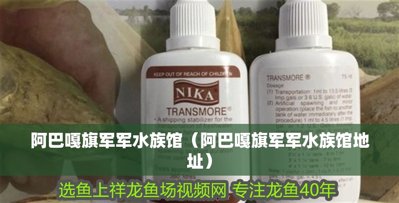 阿巴嘎旗軍軍水族館（阿巴嘎旗軍軍水族館地址）