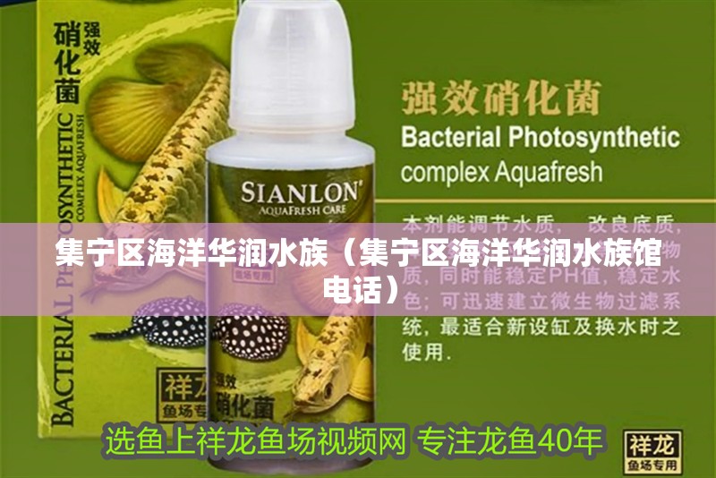 集寧區海洋華潤水族（集寧區海洋華潤水族館電話）