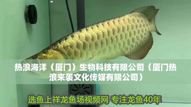 熱浪海洋（廈門）生物科技有限公司（廈門熱浪來襲文化傳媒有限公司）