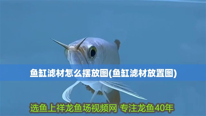 魚缸濾材怎么擺放圖(魚缸濾材放置圖)