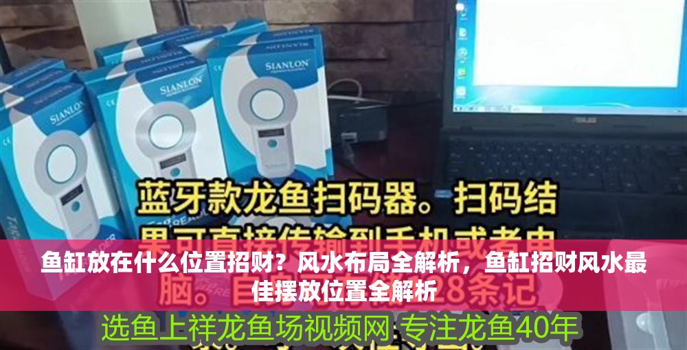 魚缸放在什么位置招財？風水布局全解析，魚缸招財風水最佳擺放位置全解析