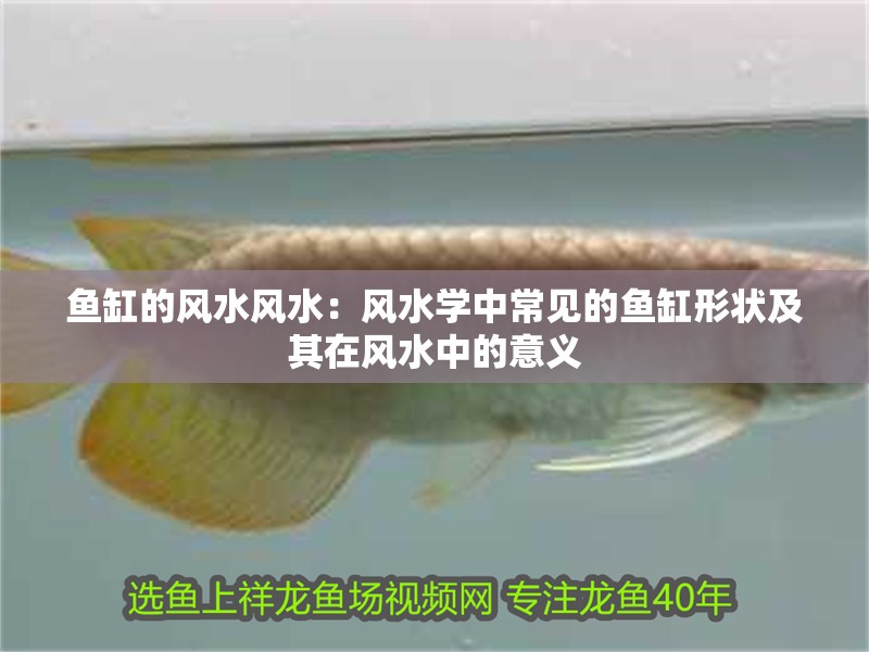魚缸的風水風水：風水學中常見的魚缸形狀及其在風水中的意義