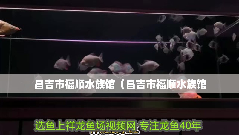 昌吉市福順水族館（昌吉市福順水族館