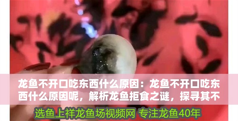 龍魚不開口吃東西什么原因：龍魚不開口吃東西什么原因呢，解析龍魚拒食之謎，探尋其不開口進食的原因