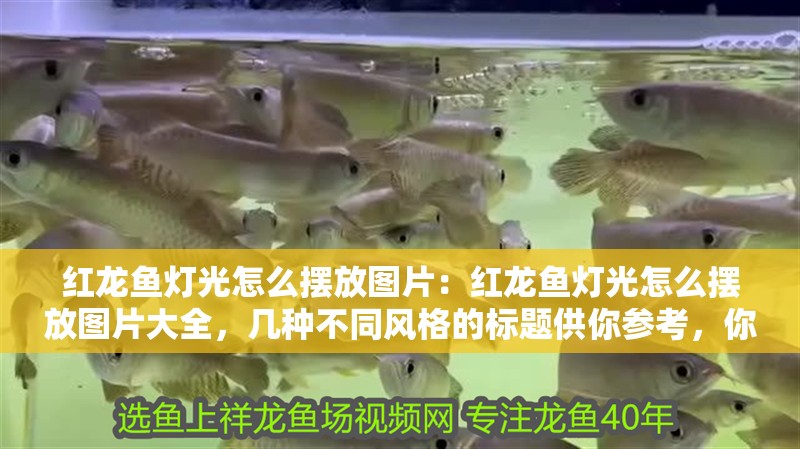 紅龍魚燈光怎么擺放圖片：紅龍魚燈光怎么擺放圖片大全，幾種不同風格的標題供你參考，你可以根據實際需求進行選擇，，紅龍魚燈光擺放全圖解，高清圖片大全來襲！，超實用！紅龍魚燈光擺放圖片完整指南，必看！紅龍魚燈光科學擺放圖片大集合