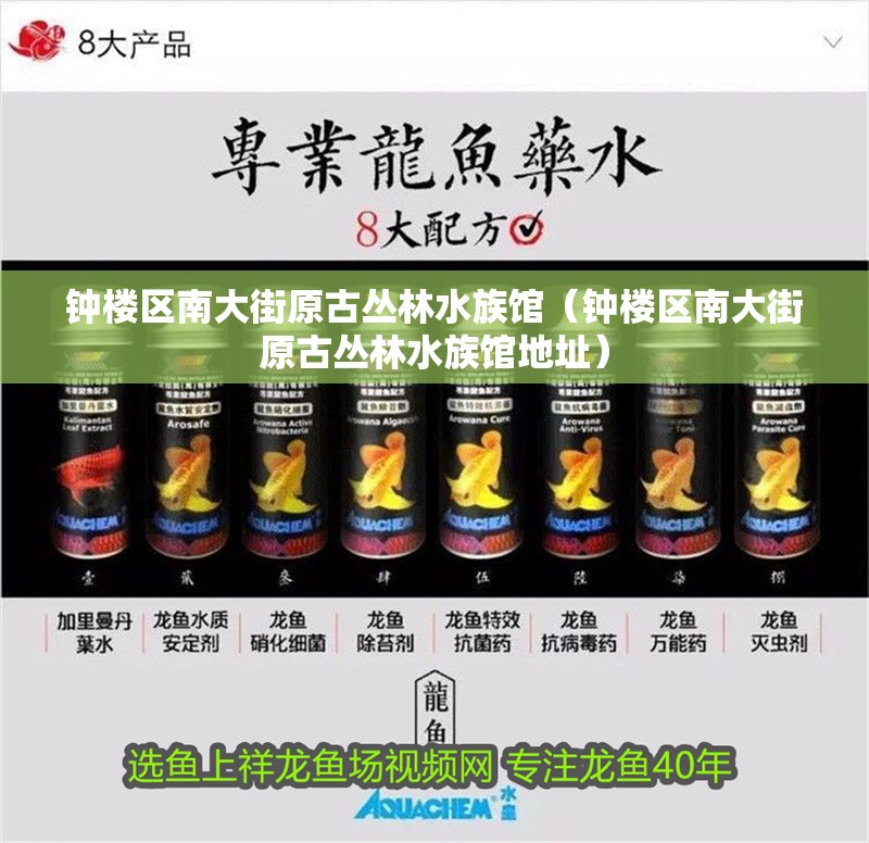 鐘樓區(qū)南大街原古叢林水族館（鐘樓區(qū)南大街原古叢林水族館地址）