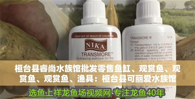 桓臺縣睿尚水族館批發零售魚缸、觀賞魚、觀賞魚、觀賞魚、漁具：桓臺縣可麗愛水族館