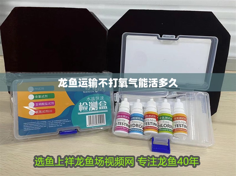 龍魚運輸不打氧氣能活多久