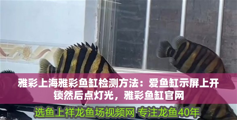 雅彩上海雅彩魚缸檢測方法：愛魚缸示屏上開鎖然后點(diǎn)燈光，雅彩魚缸官網(wǎng)