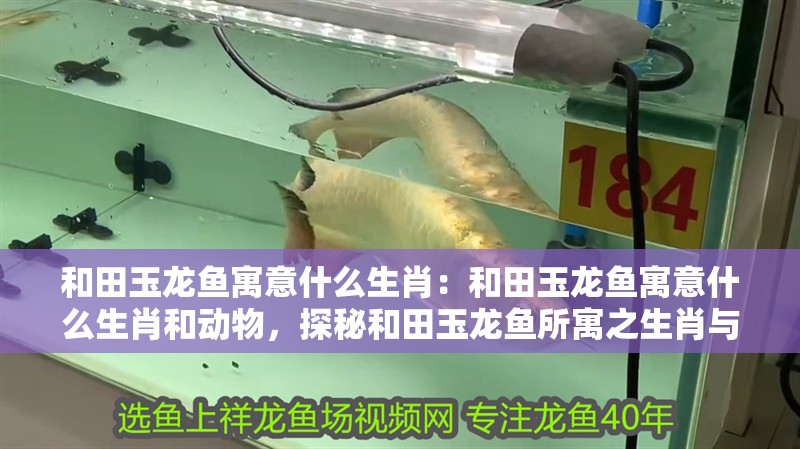 和田玉龍魚寓意什么生肖：和田玉龍魚寓意什么生肖和動物，探秘和田玉龍魚所寓之生肖與動物象征