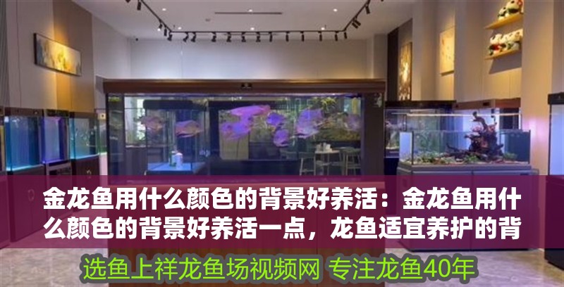 金龍魚用什么顏色的背景好養(yǎng)活：金龍魚用什么顏色的背景好養(yǎng)活一點，龍魚適宜養(yǎng)護的背景