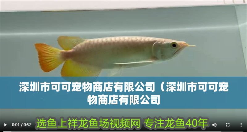 深圳市可可寵物商店有限公司（深圳市可可寵物商店有限公司 深圳市可可寵物商店有限公司（深圳市可可寵物商店有限公司 全國水族館企業名錄 第2張