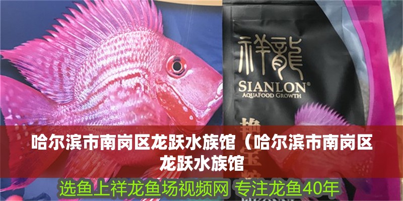 哈爾濱市南崗區龍躍水族館（哈爾濱市南崗區龍躍水族館