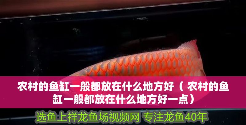 農(nóng)村的魚缸一般都放在什么地方好（ 農(nóng)村的魚缸一般都放在什么地方好一點(diǎn)）