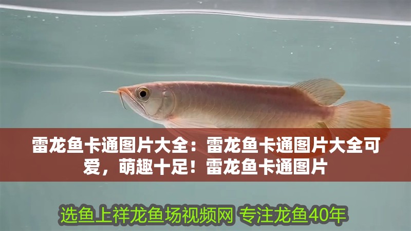 雷龍魚卡通圖片大全：雷龍魚卡通圖片大全可愛，萌趣十足！雷龍魚卡通圖片