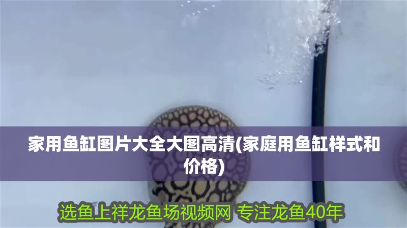 家用魚缸圖片大全大圖高清(家庭用魚缸樣式和價(jià)格) 家用魚缸圖片大全大圖高清(家庭用魚缸樣式和價(jià)格) 黃金貓魚百科 第1張