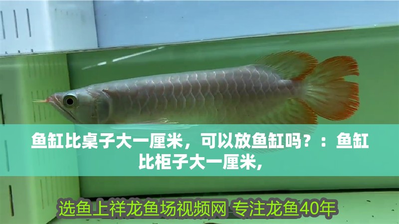 魚缸比桌子大一厘米，可以放魚缸嗎？：魚缸比柜子大一厘米,