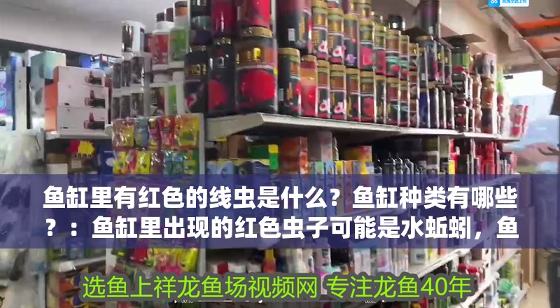 魚缸里有紅色的線蟲是什么？魚缸種類有哪些？：魚缸里出現的紅色蟲子可能是水蚯蚓，魚缸里出現的紅色小蟲子