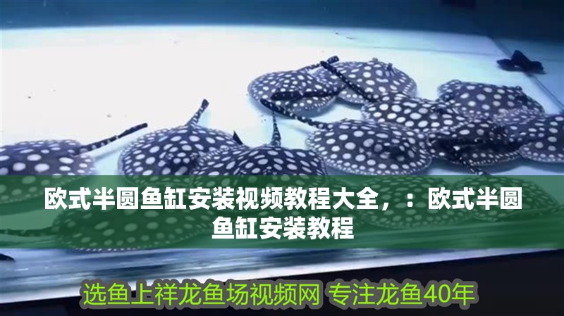 歐式半圓魚缸安裝視頻教程大全，：歐式半圓魚缸安裝教程
