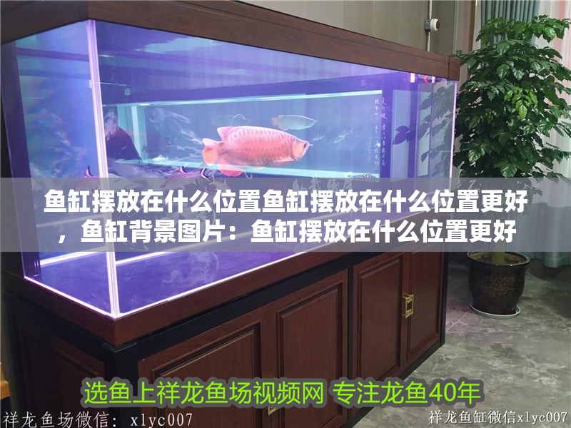 魚缸擺放在什么位置魚缸擺放在什么位置更好，魚缸背景圖片：魚缸擺放在什么位置更好 魚缸擺放在什么位置魚缸擺放在什么位置更好，魚缸背景圖片：魚缸擺放在什么位置更好 魚缸百科