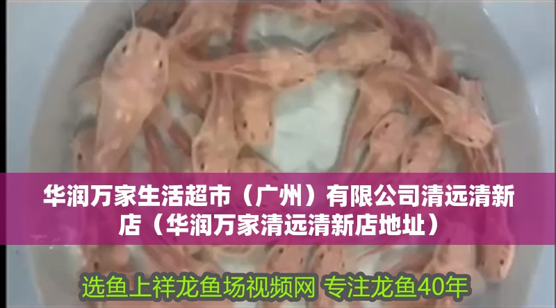 華潤萬家生活超市（廣州）有限公司清遠清新店（華潤萬家清遠清新店地址）