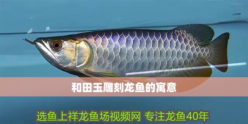 和田玉雕刻龍魚的寓意