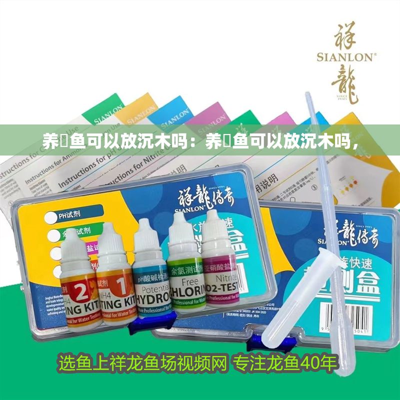 養魟魚可以放沉木嗎：養魟魚可以放沉木嗎，