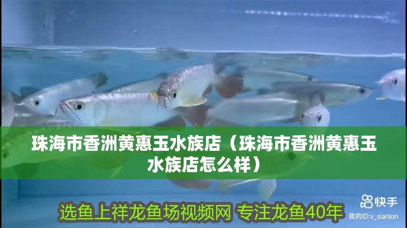 珠海市香洲黃惠玉水族店（珠海市香洲黃惠玉水族店怎么樣）