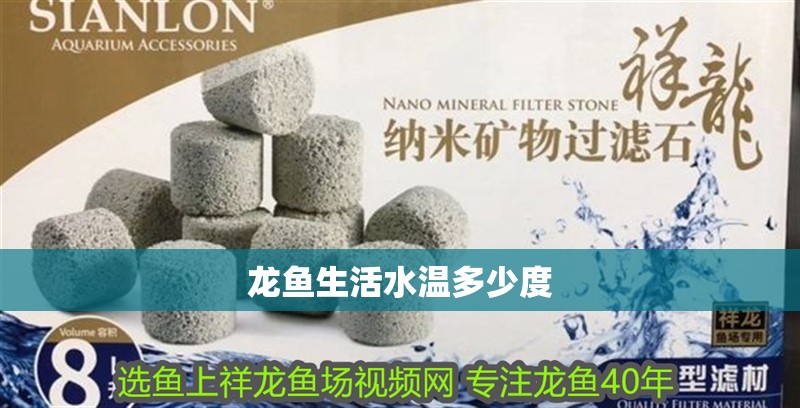 龍魚生活水溫多少度
