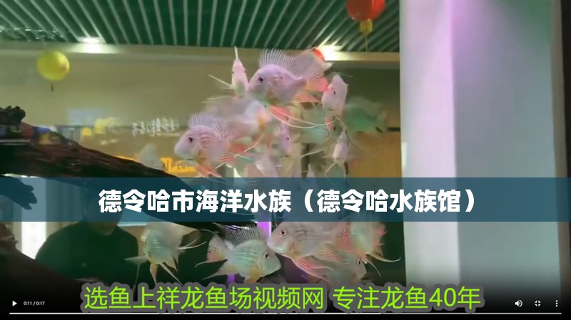 德令哈市海洋水族（德令哈水族館）