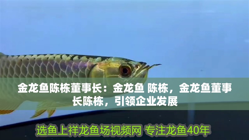 金龍魚陳棟董事長(zhǎng)：金龍魚 陳棟，金龍魚董事長(zhǎng)陳棟，引領(lǐng)企業(yè)發(fā)展