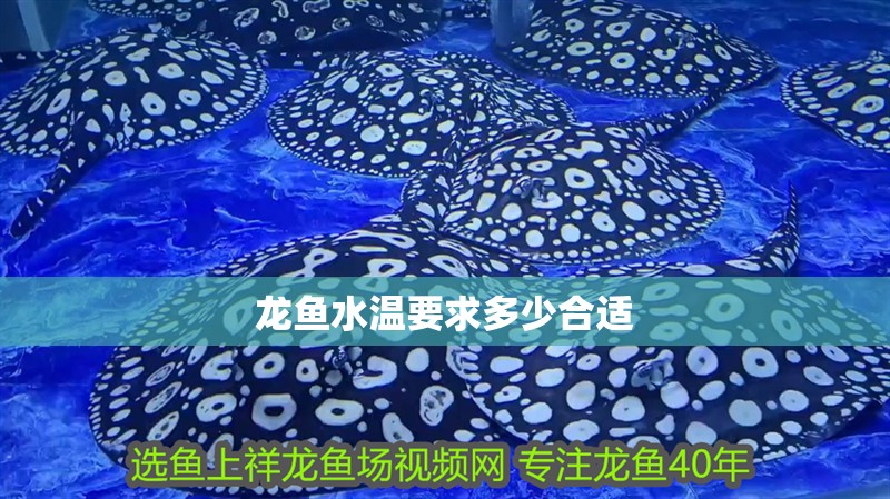 龍魚水溫要求多少合適