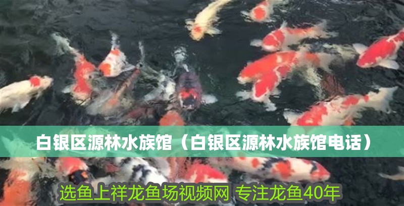 白銀區(qū)源林水族館（白銀區(qū)源林水族館電話）