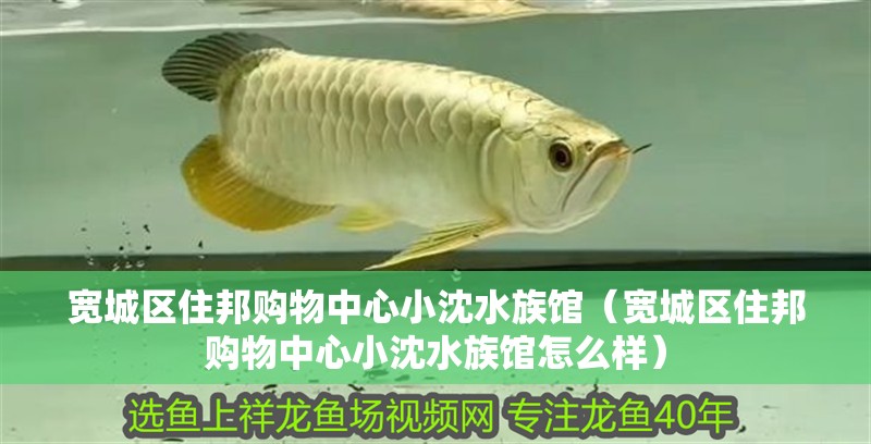 寬城區住邦購物中心小沈水族館（寬城區住邦購物中心小沈水族館怎么樣）