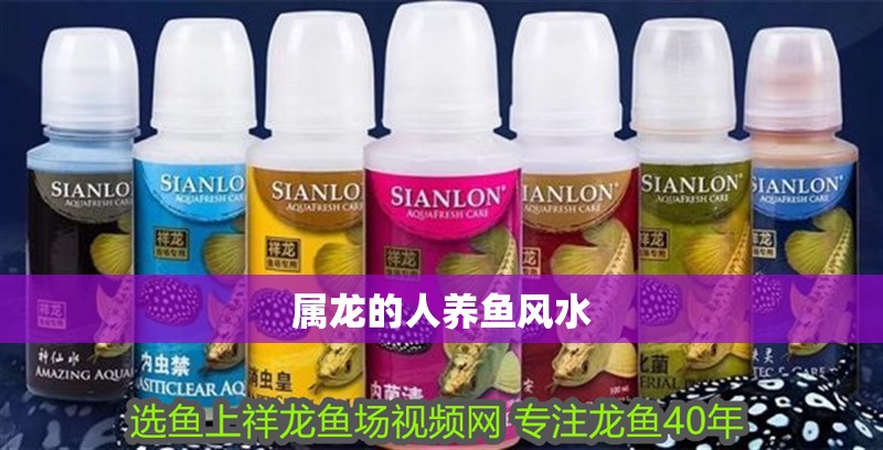 屬龍的人養(yǎng)魚(yú)風(fēng)水