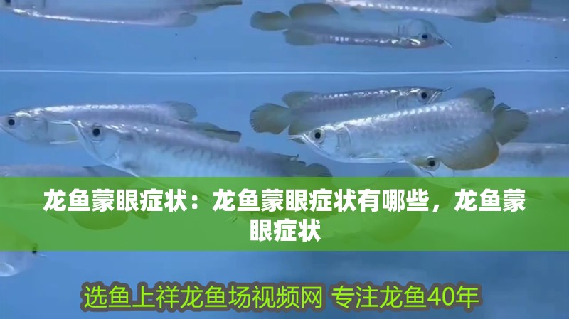 龍魚蒙眼癥狀：龍魚蒙眼癥狀有哪些，龍魚蒙眼癥狀