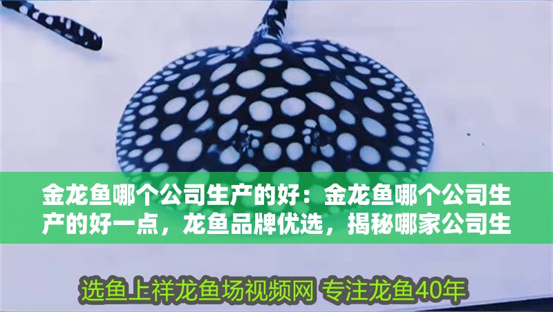 金龍魚哪個公司生產的好：金龍魚哪個公司生產的好一點，龍魚品牌優選，揭秘哪家公司生產的金龍魚更勝