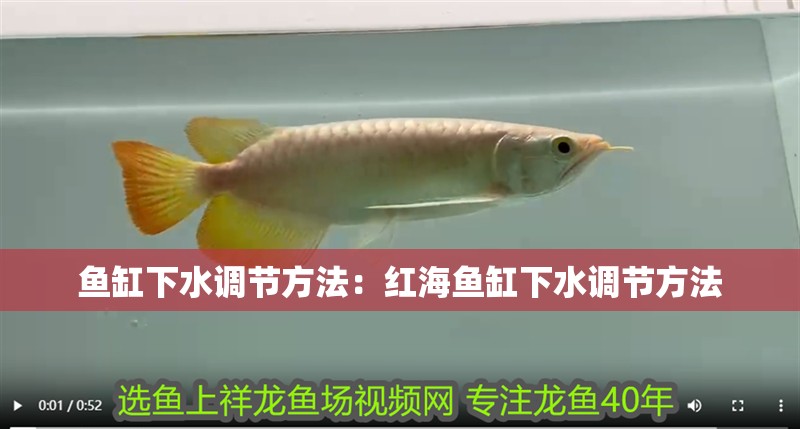 魚缸過濾器選購指南:自制魚缸過濾器魚缸上置過濾器對于養魚愛好者的必備知識 魚缸下水調節方法:紅海魚缸下水調節方法 魚缸百科 魚缸下水調節方法:紅海魚缸下水調節方法 魚缸下水調節方法:紅海魚缸下水調節方法 魚缸百科