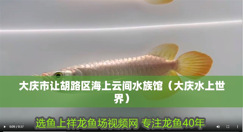 大慶市讓胡路區海上云間水族館（大慶水上世界）