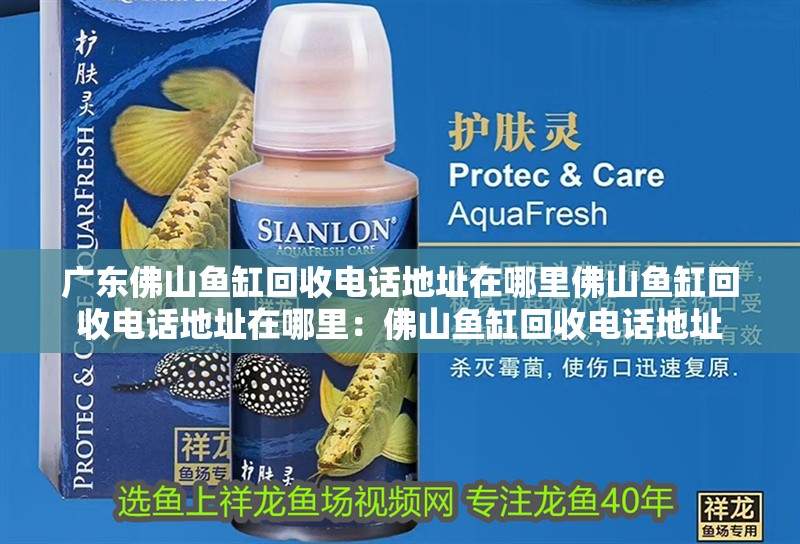 廣東佛山魚缸回收電話地址在哪里佛山魚缸回收電話地址在哪里：佛山魚缸回收電話地址 廣東佛山魚缸回收電話地址在哪里佛山魚缸回收電話地址在哪里：佛山魚缸回收電話地址 魚缸百科