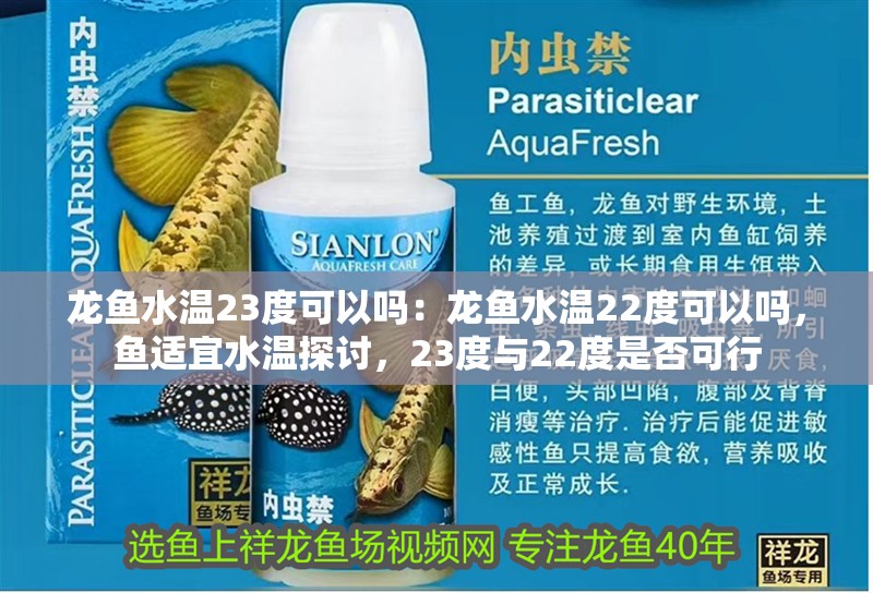 龍魚水溫23度可以嗎：龍魚水溫22度可以嗎，魚適宜水溫探討，23度與22度是否可行