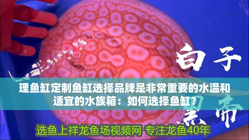 理魚缸定制魚缸選擇品牌是非常重要的水溫和適宜的水族箱：如何選擇魚缸？