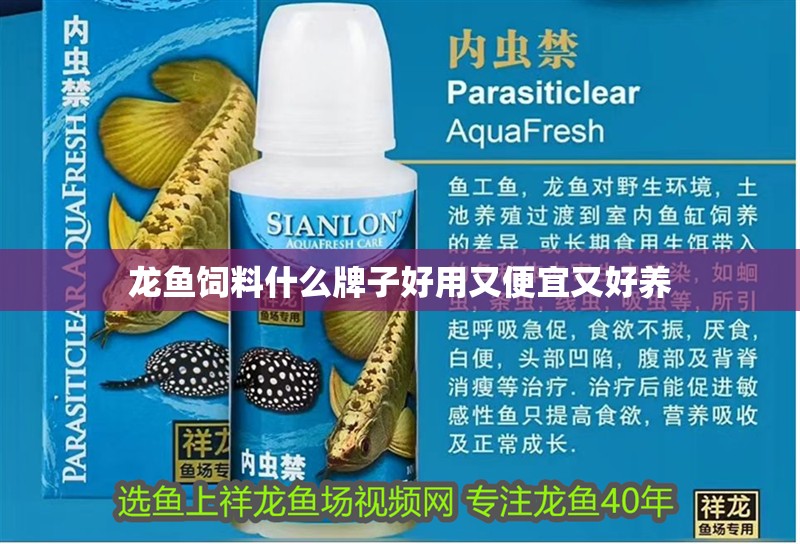 龍魚飼料什么牌子好用又便宜又好養(yǎng)